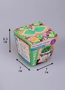 Сувенир растущая травка На удачу (7х5) (1668154)