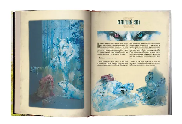 Книга Вселенная гномов (Гильермо Гонсалес) — 8
