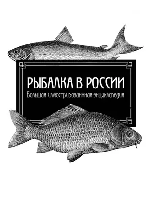 Рыбалка в России. Большая иллюстрированная энциклопедия — 2615186 — 1