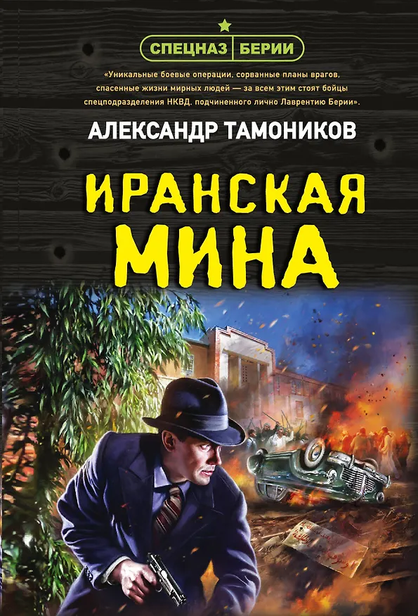 Книга Иранская мина (Александр Тамоников) — 1