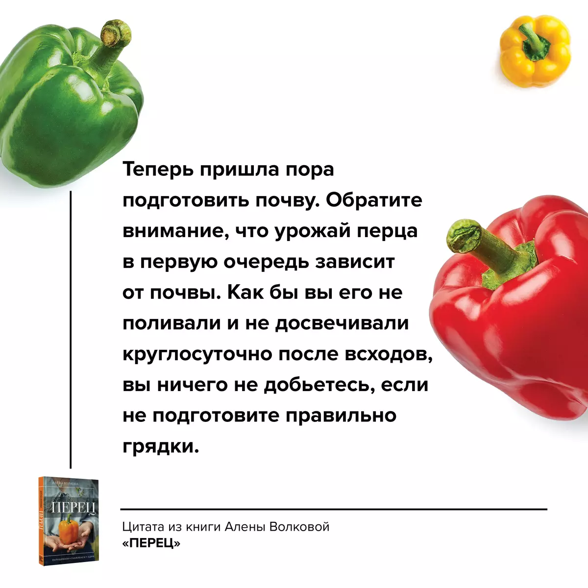 Перец. Выращиваем, ухаживаем и едим (Алёна Волкова) - купить книгу с  доставкой в интернет-магазине «Читай-город». ISBN: 978-5-17-157296-9