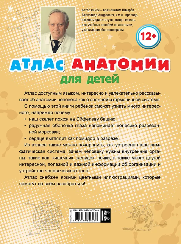 Книга Атлас анатомии для детей (Александр Швырев) — 2