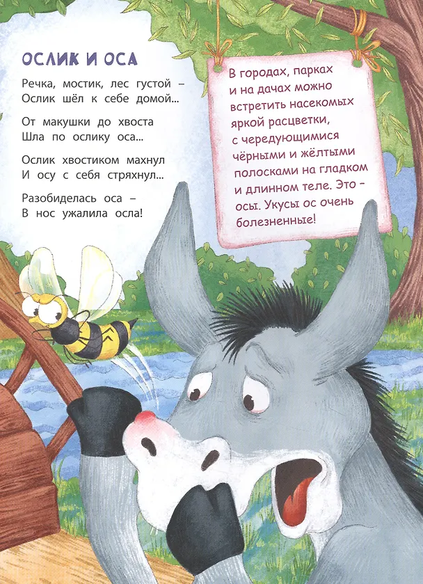 Книга В небе и на земле (Татьяна Боброва) — 4