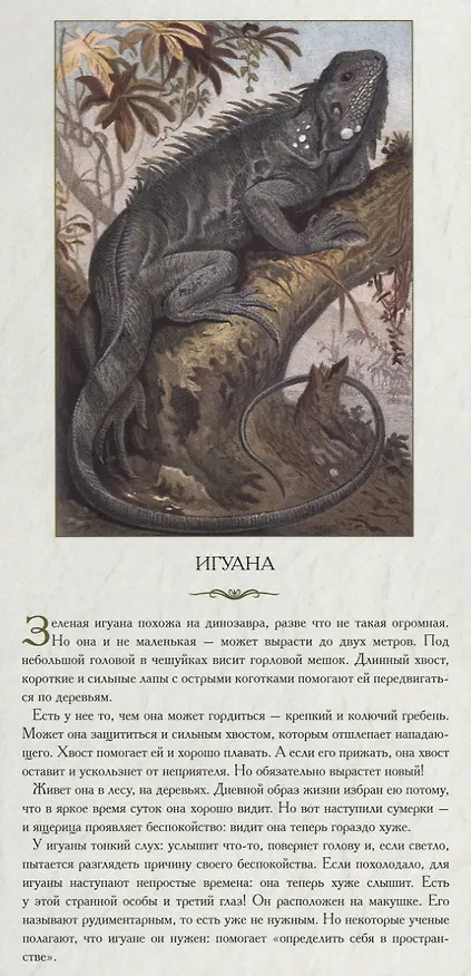 Книга Животный мир Северной Америки. Обычные, но ни на кого не похожие () — 4