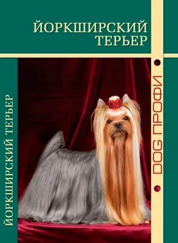 Книга Йоркширский терьер () — 1