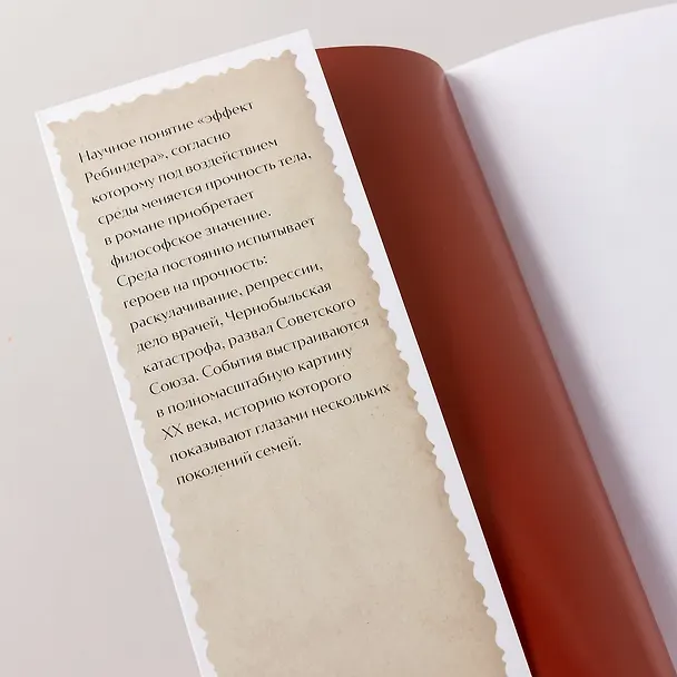 Книга Эффект Ребиндера (Елена Минкина-Тайчер) — 6