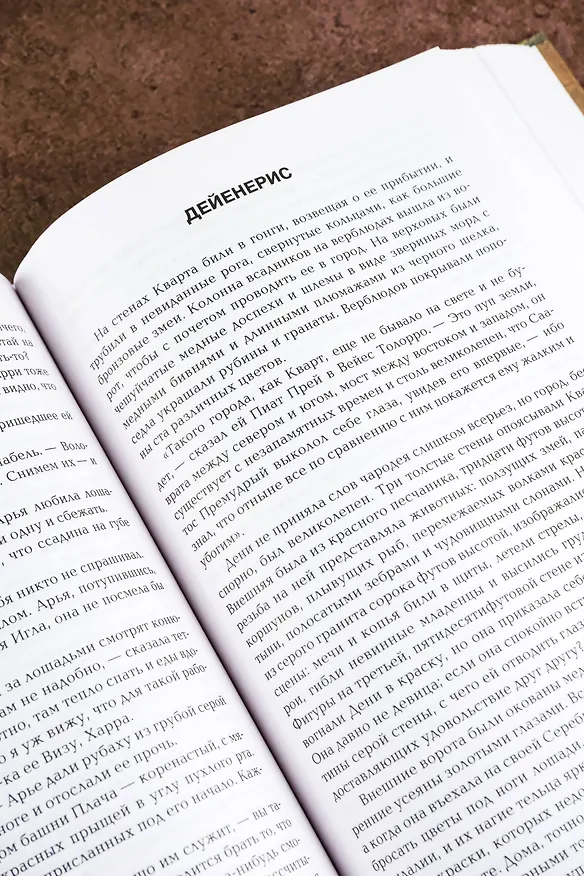 Книга Битва королей: Из цикла "Песнь льда и огня" (Джордж Р.Р. Мартин) — 13