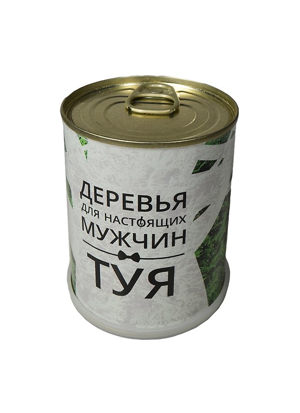 Подарочный набор для выращивания Деревья для настоящих мужчин Туя (410831) 2407580 — 1