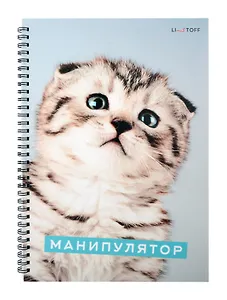 Тетрадь в клетку Listoff, "Характер котика", А4, 80 листов