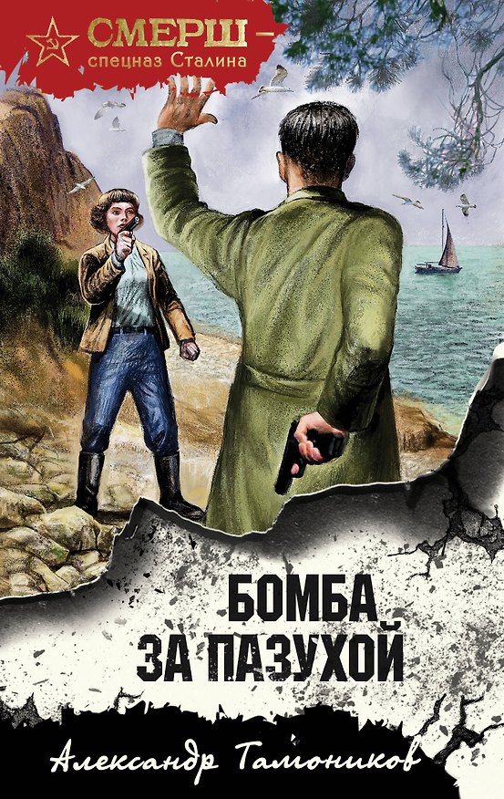 Книга Бомба за пазухой (Александр Тамоников) — 1