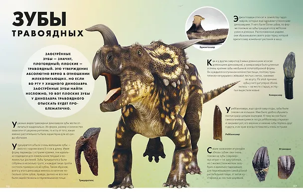 Книга Экскурсия в прошлое: динозавры. Самая реалистичная энциклопедия (Диего Маттарелли) — 6