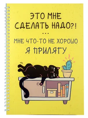 Тетрадь общая «День кота (Эксклюзив)», 60 листов в клетку, А4 - Listoff 3040111