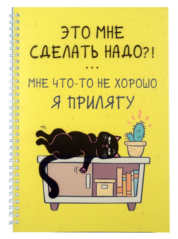Тетрадь общая «День кота (Эксклюзив)», 60 листов в клетку, А4 - Listoff 3040111 — 1