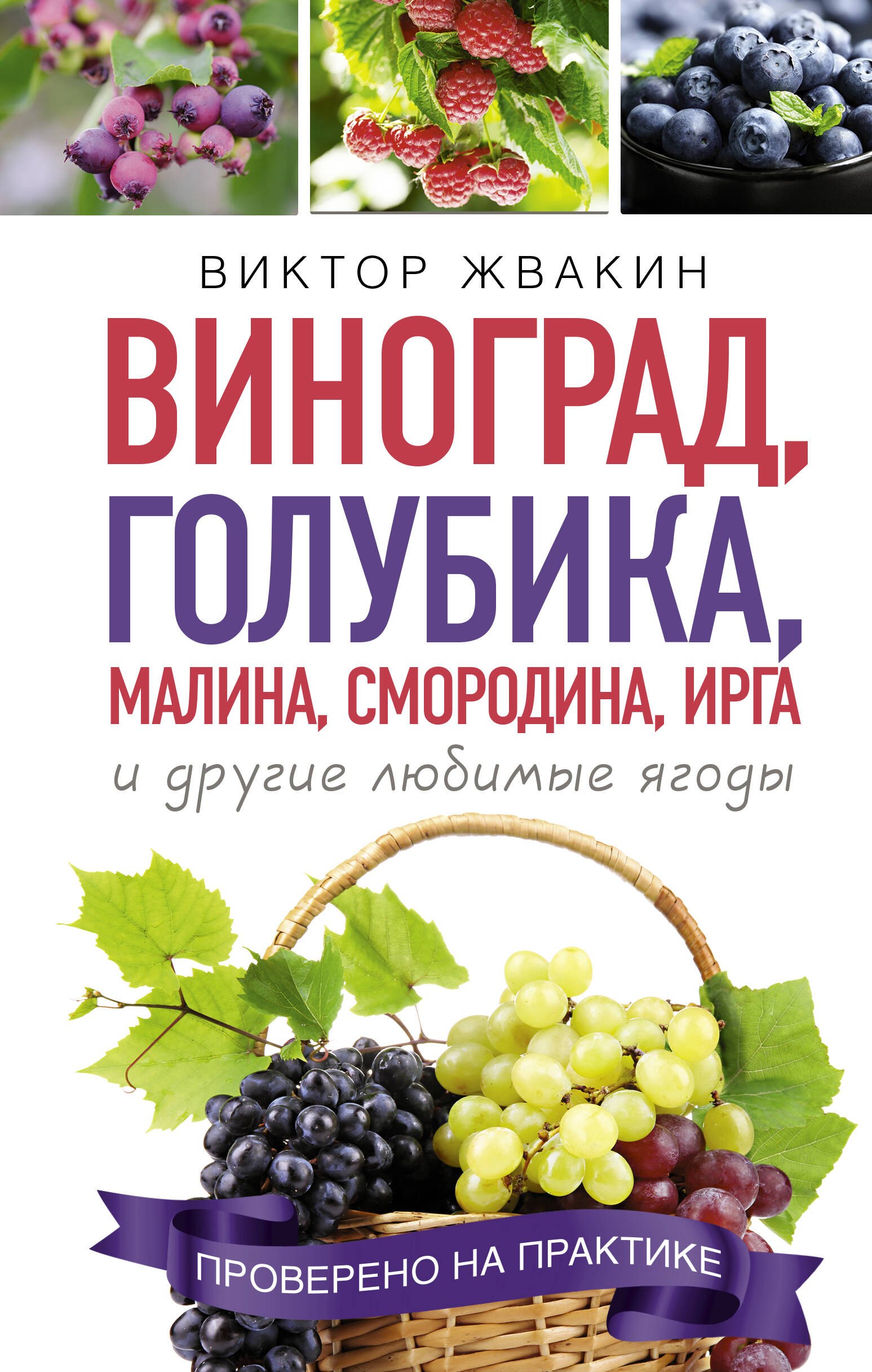 

Как вырастить виноград и другие любие ягоды. Простые и понятные инструкции для начинащих. Виноград, голубика, малина, смородина, ирга и другие любимые ягоды
