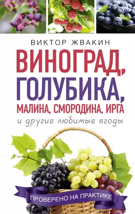 Как вырастить виноград и другие любие ягоды. Простые и понятные инструкции для начинащих. Виноград, голубика, малина, смородина, ирга и другие любимые ягоды — 2904742 — 1