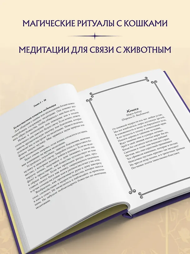 Книга Магия кошек. Ритуалы, заклинания и чары для котиков и их людей (Дебора Блейк) — 8