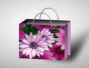 Пакет подарочный бумажный А3 56*41 ламинат, жен.тематика, ассорти ХХLH, МегаМАГ