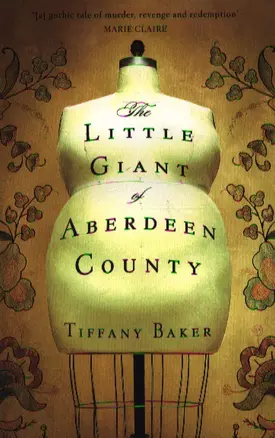 The Litle Giant of Aberdeen Country — 2340461 — 1