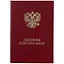 Обложка "Диплом доктора наук" бордо, бумвинил — 253308 — 1