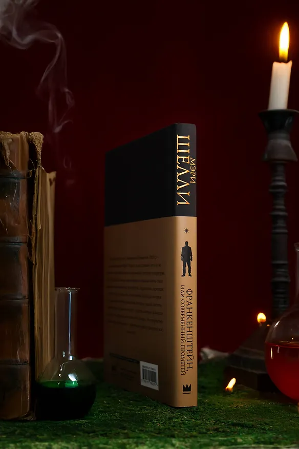 Книга Франкенштейн, или современный Прометей (Мэри Шелли) — 11