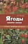 Атлас-определитель.Ягоды наших лесов. — 2656470 — 1