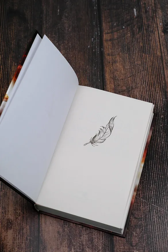 Книга Город опаленных крыльев (Лили С. Морган) — 8