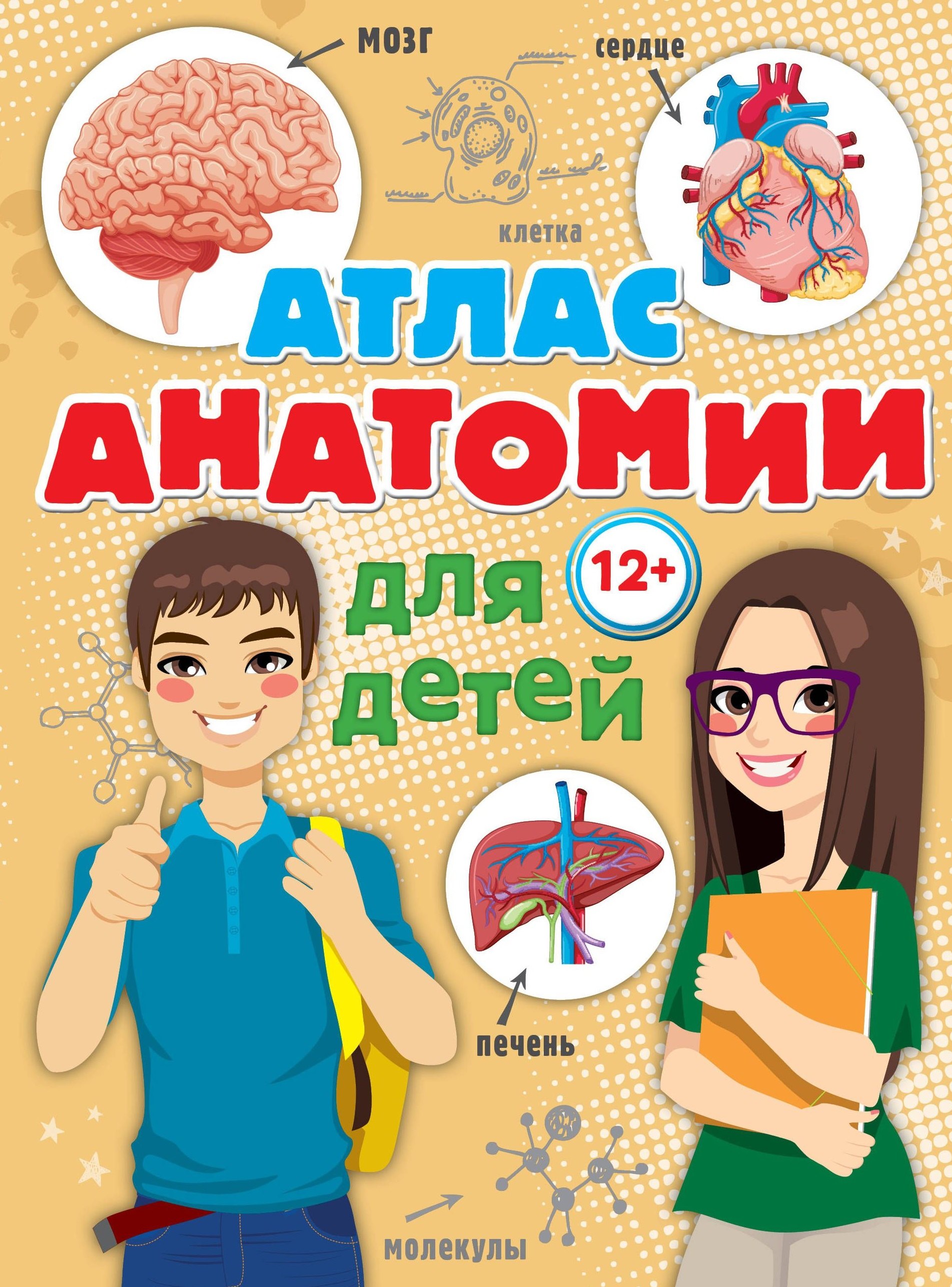 

Атлас анатомии для детей