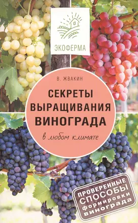 Секреты выращивания винограда в любом климате — 2573735 — 1