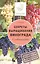 Секреты выращивания винограда в любом климате — 2573735 — 1