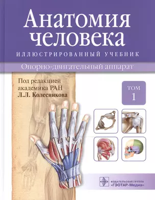 Анатомия человека.Т.1-Опорно-двигательный аппарат.Учебник в 3 томах — 2513187 — 1