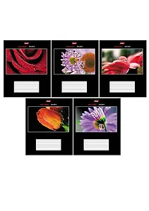 Тетрадь в клетку Hatber, "Капельки", 18 листов, в ассортименте