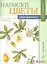 Нарисуй цветы в ботаническом стиле акварелью по схемам. Ты - художник — 2522794 — 1