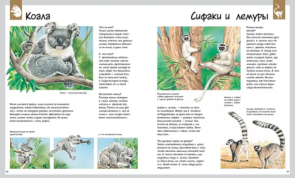 Книга Животные (Лоранс Букобза, Анник Мулинье) — 5