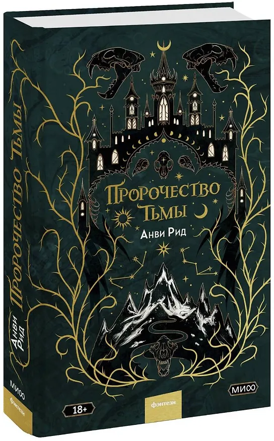 Книга Пророчество тьмы (Анви Рид) — 1