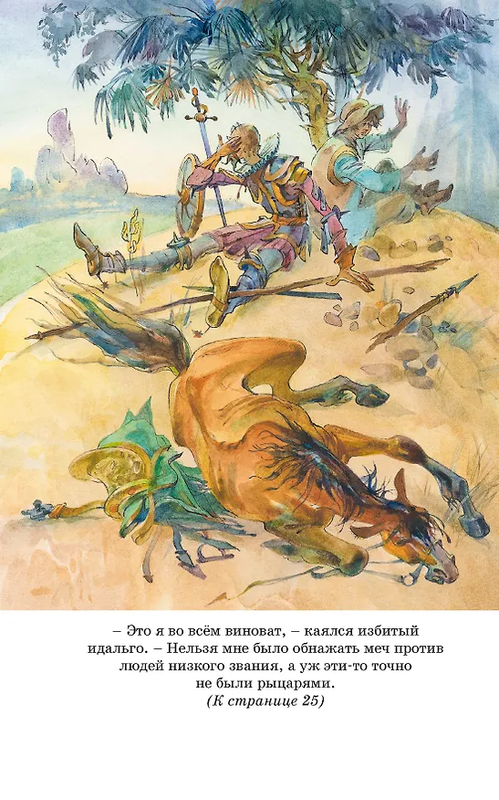 Книга Дон Кихот (Мигель де Сервантес Сааведра) — 15