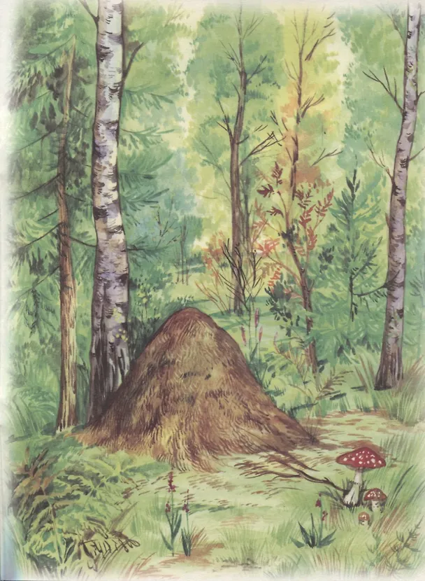 Книга Кот и лиса (Роман Кобзарев) — 5