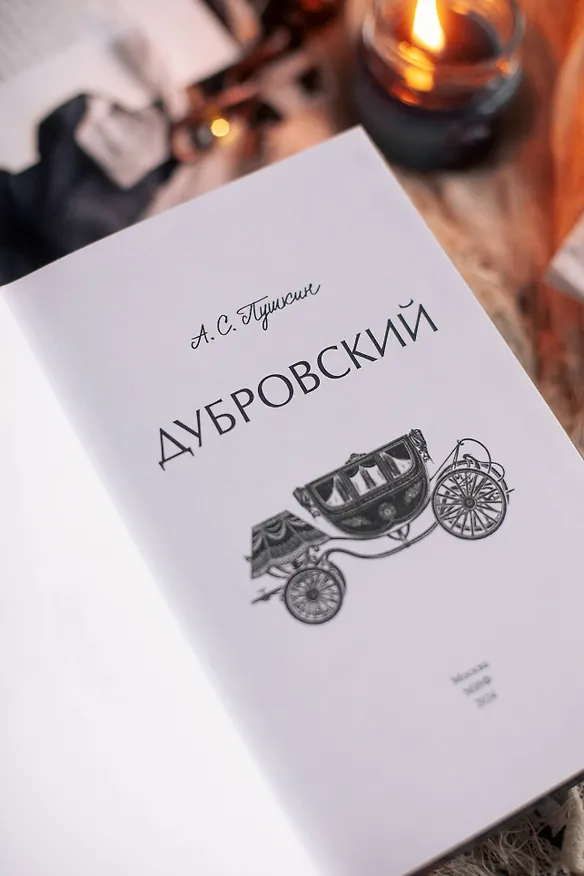 Книга Дубровский. Вечные истории. Young Adult (Александр Пушкин) — 14