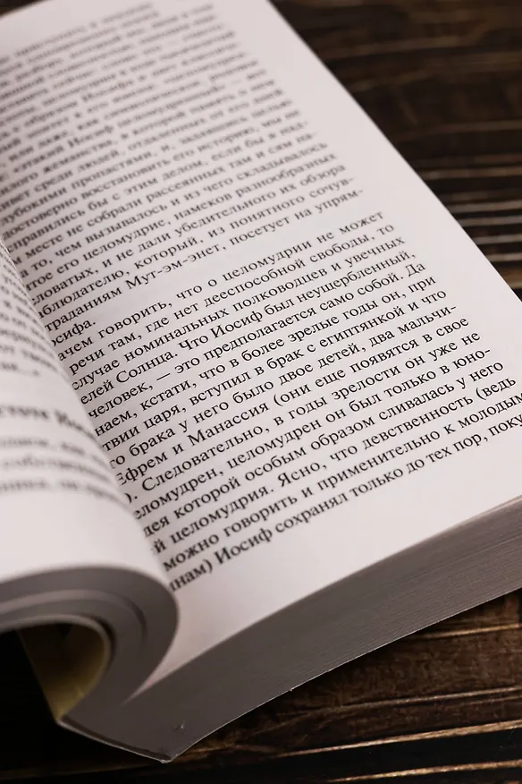 Книга Иосиф и его братья. Том 2 (Томас Манн) — 9