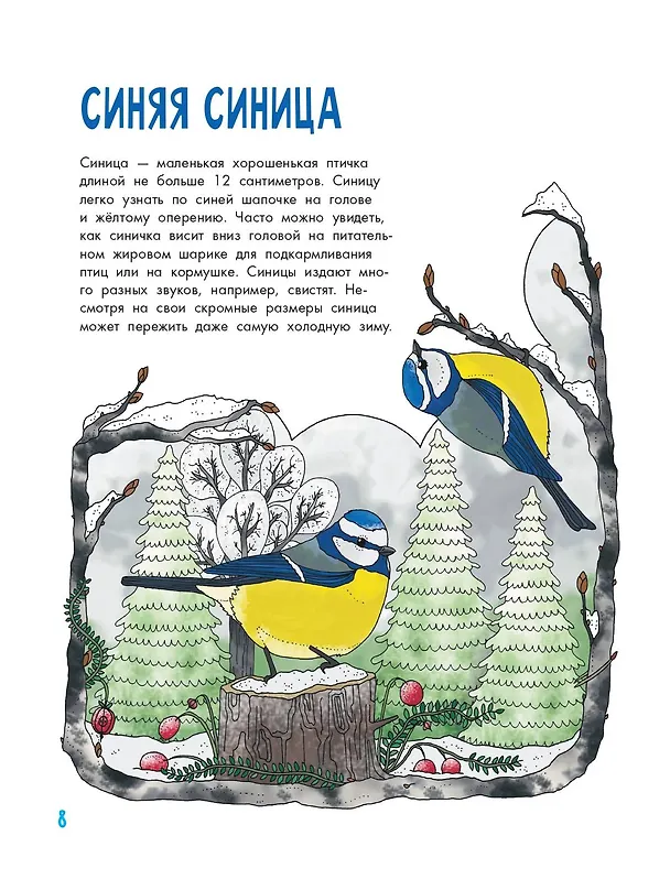 Книга Птицы (Эмма Янссон) — 13