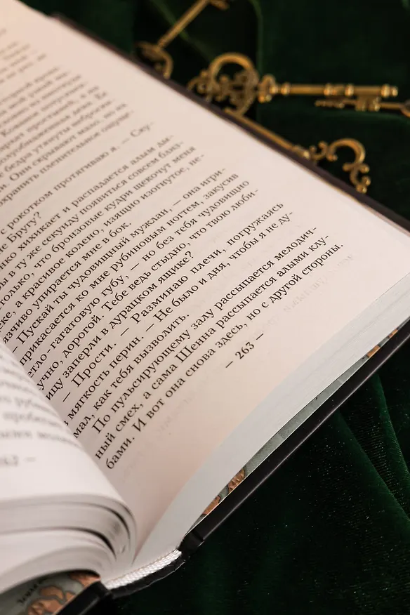 Книга Начерно (Е. Зенгрим) — 13