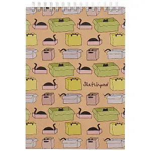 Скетчбук «Кошки в коробках», 40 листов, А5