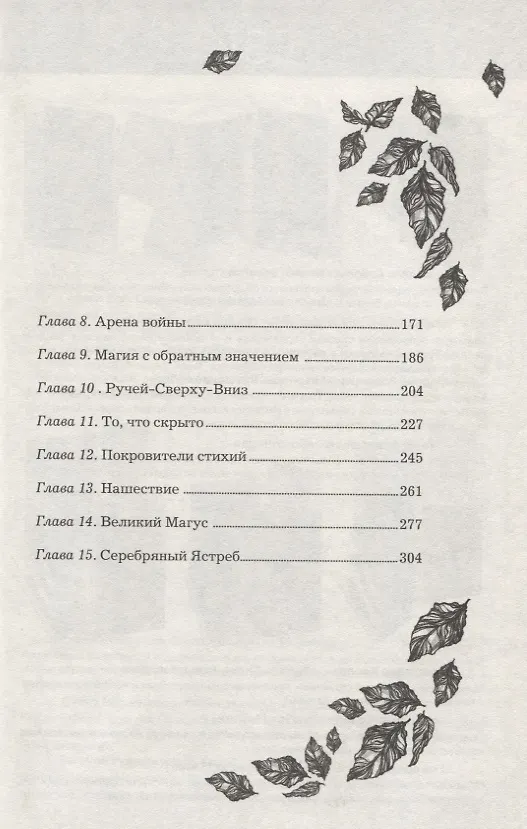 Книга Анима. Серебряный Ястреб (Екатерина Соболь) — 3