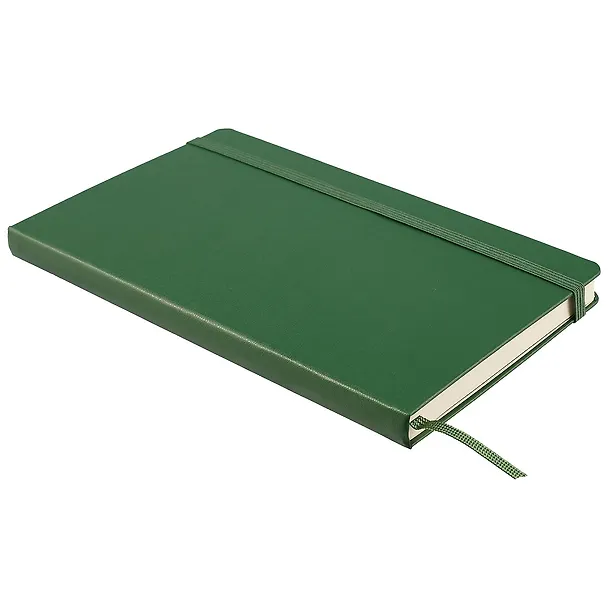 Записная книжка Moleskin Classic Large, зелёная, 120 листов, А5 251305 — 2