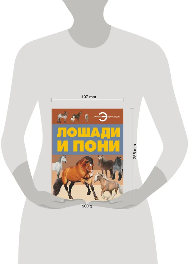 Книга Лошади и пони (Анна Ламбина) — 4