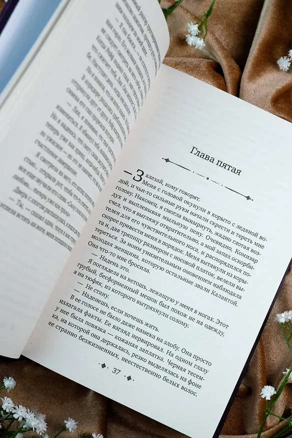 Книга Сердце предательства (Мэри Э. Пирсон) — 9