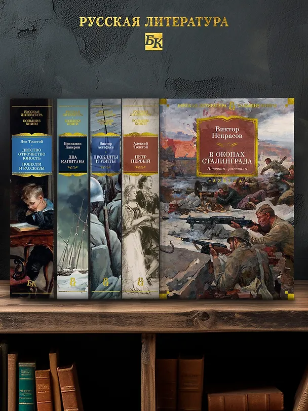 Книга В окопах Сталинграда. Повести, рассказы (Виктор Некрасов) — 5