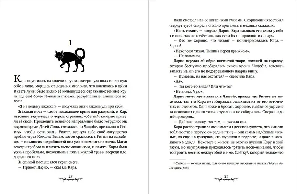 Книга Паучья Королева (#4) (Джерри Алан Уайт) — 5