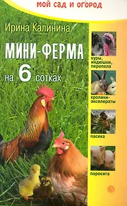 Мини-ферма на 6 сотках