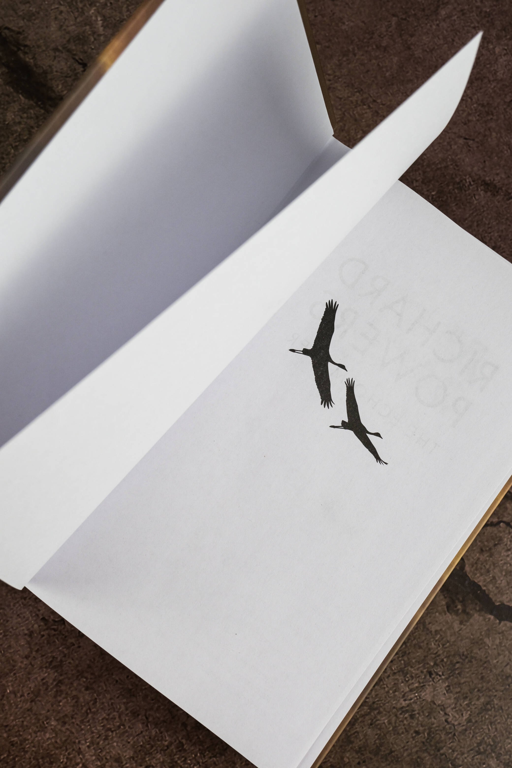 Изображение бумажной книги