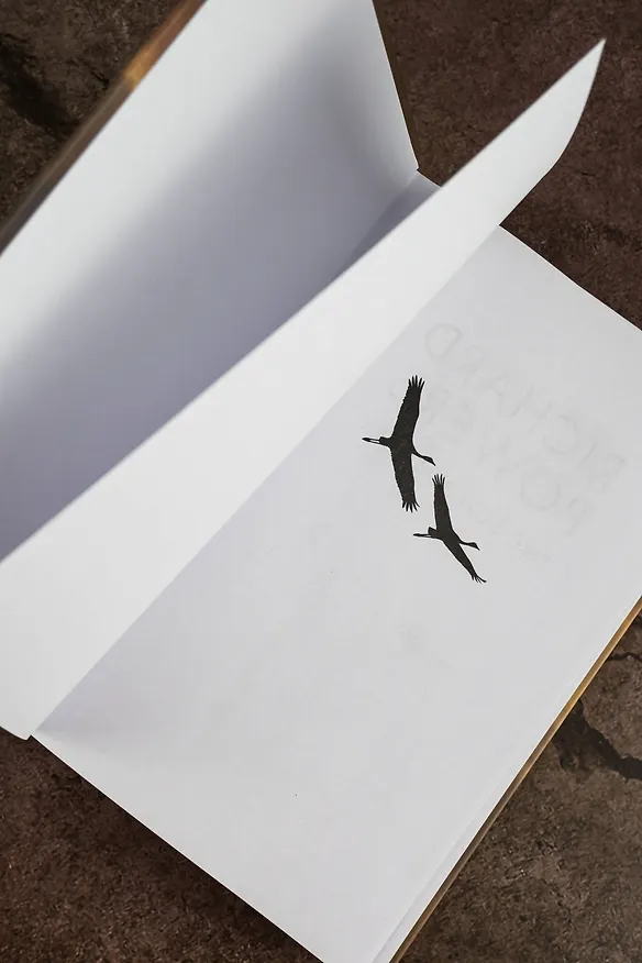 Книга Создатель эха (Ричард Пауэрс) — 8